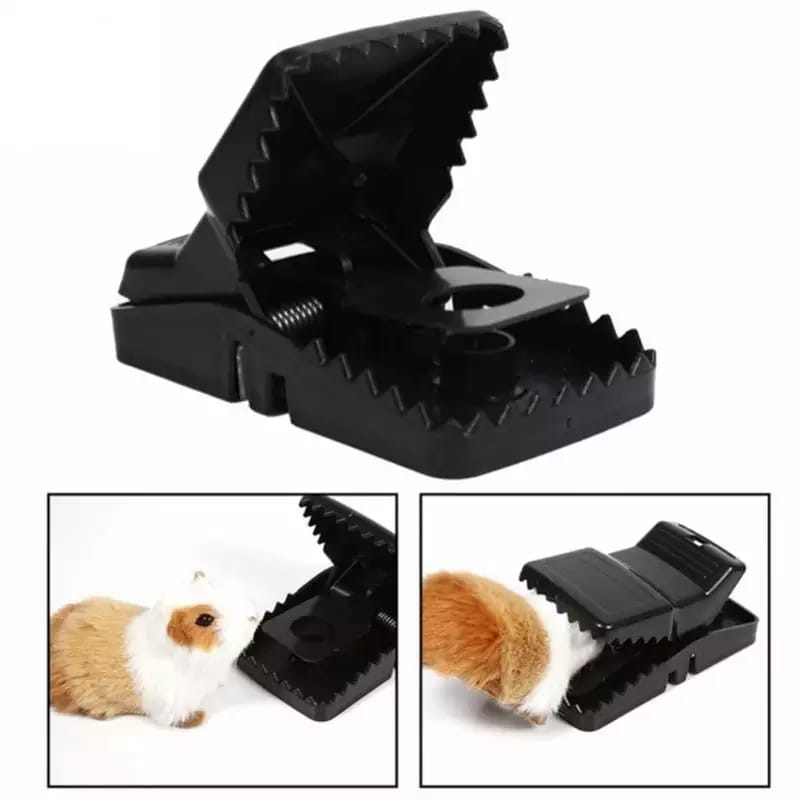 Mouse Catcher Trap Cage with Mouse Figure for Home, Kitchen, Room, Office, Indoor, Outdoor Mice Pest Control Reusable (1 Pc) - infinityexculsivestore.com