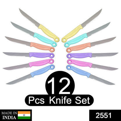 Multipurpose Top Kitchen Knife for Home and Restaurant (12Pcs Set) - infinityexculsivestore.com