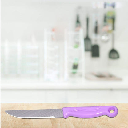 Multipurpose Top Kitchen Knife for Home and Restaurant (12Pcs Set) - infinityexculsivestore.com