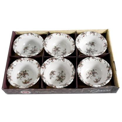 Opera High Quality Plastic Ice - Cream Bowl, Home & Kitchen Bowl for Sundae, Sweets, Snacks, Fruit, Pudding, Nuts or Dip, Serving Bowls (Set of 6 pc) - infinityexculsivestore.com