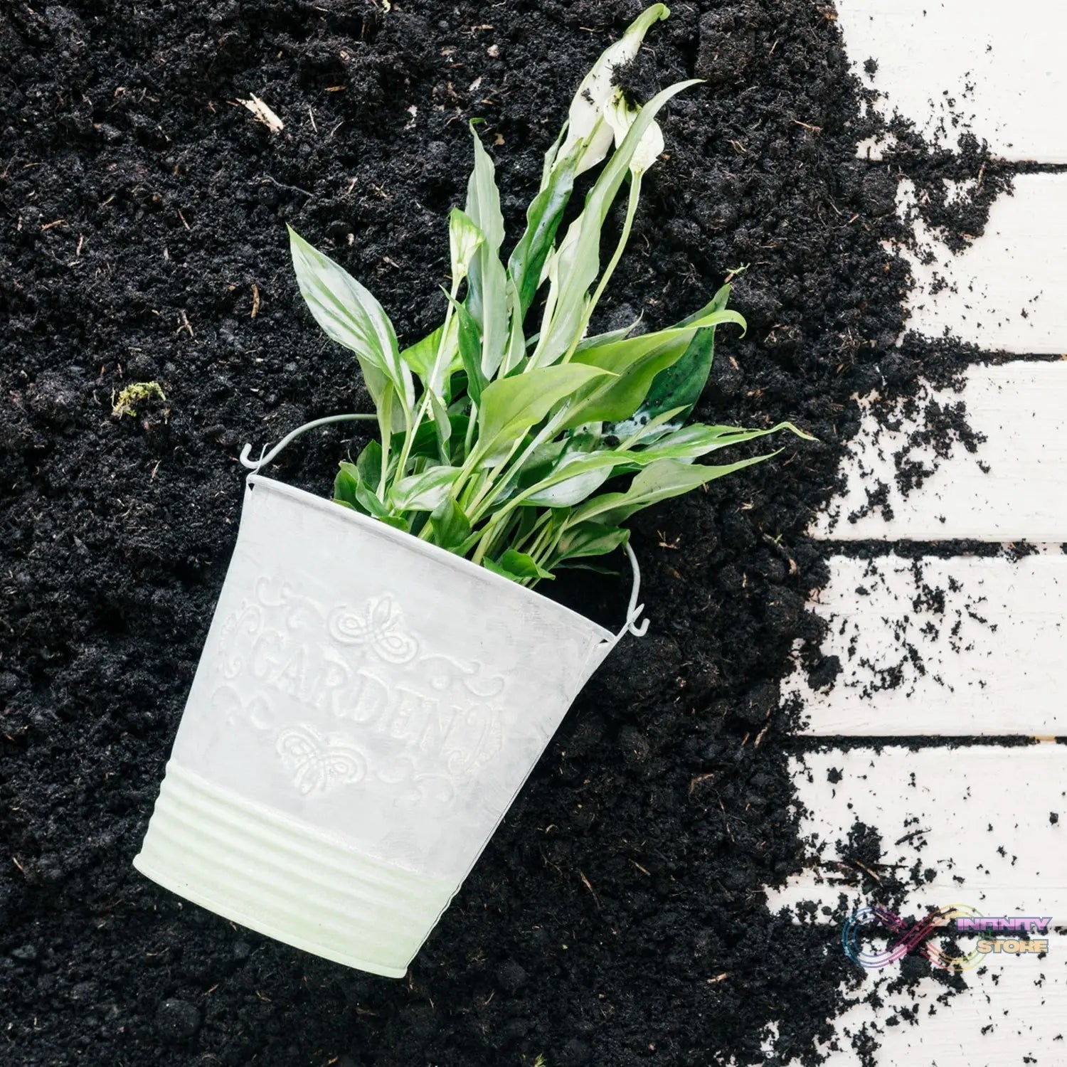 Organic Vermicompost Black Soil for Plants Health Manure (1 KG Approx) - infinityexculsivestore.com