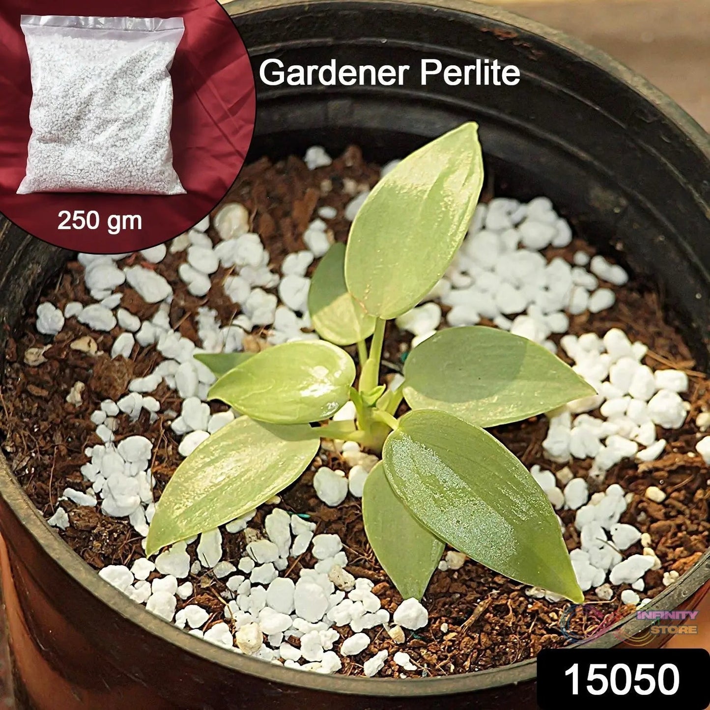 Paradise Perlite for Hydroponics &amp; Horticulture Terrace Gardening Soil Conditioner (250 GM) - infinityexculsivestore.com