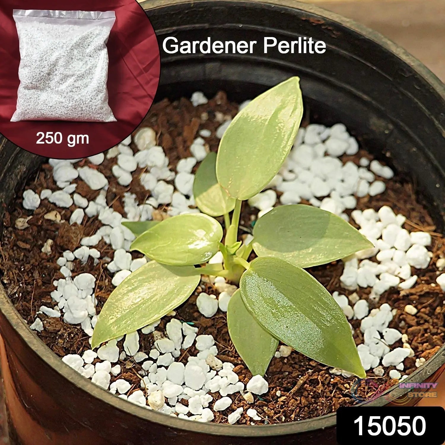 Paradise Perlite for Hydroponics &amp; Horticulture Terrace Gardening Soil Conditioner (250 GM) - infinityexculsivestore.com