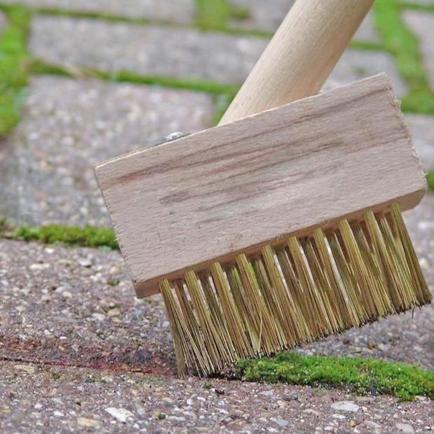 Paving Brush Wooden Block Paving Brush Patio Weed Remover Tool (1 Pc) - infinityexculsivestore.com
