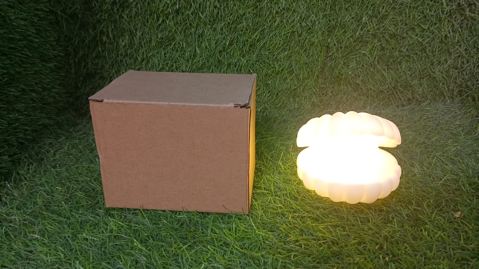 Pearl Shell Night Lamp Decorate Desk Lights For Bedroom & Home - infinityexculsivestore.com