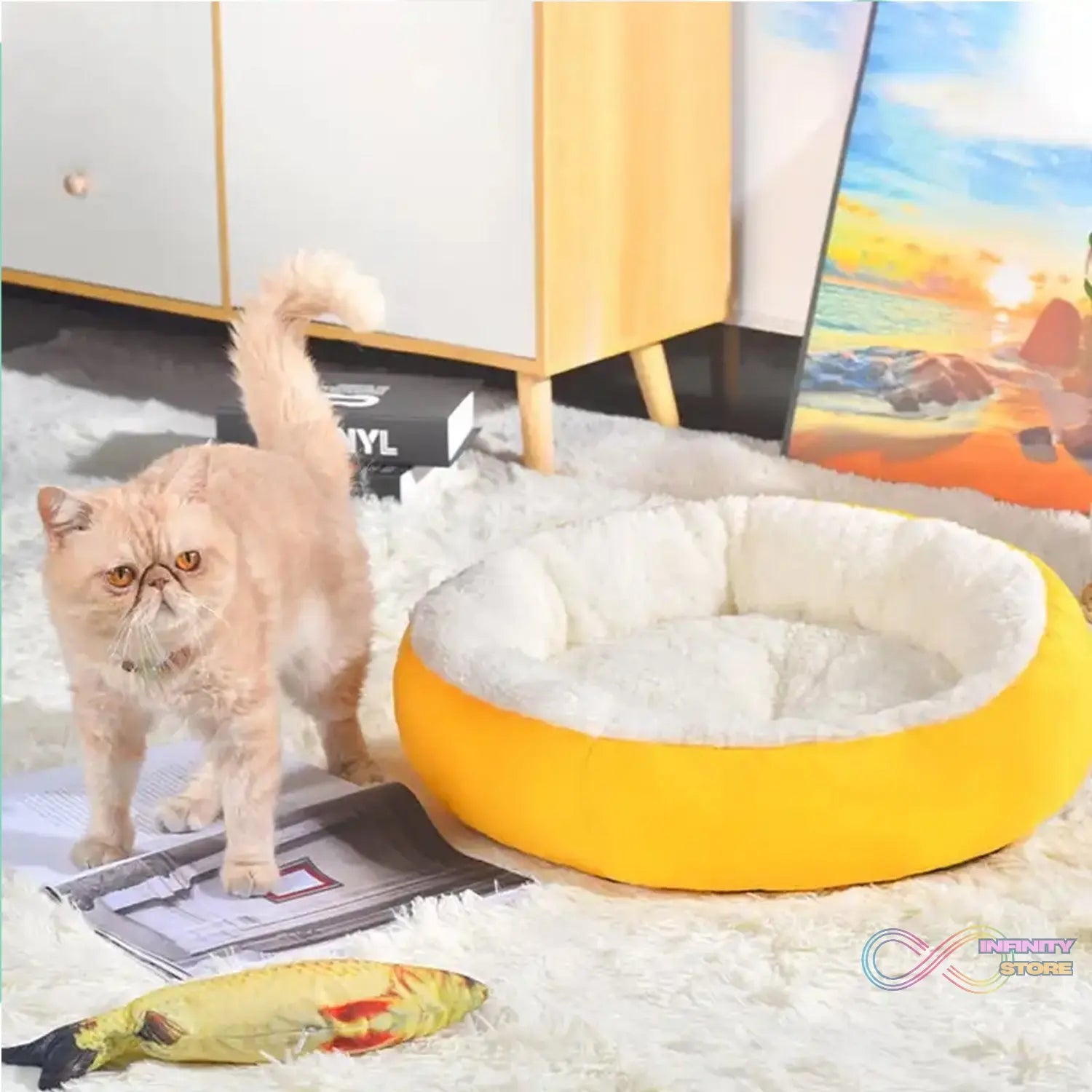 Pet Dog Bed General Thickening Dog Mat (1 Pc / Mix Design & Color) - infinityexculsivestore.com
