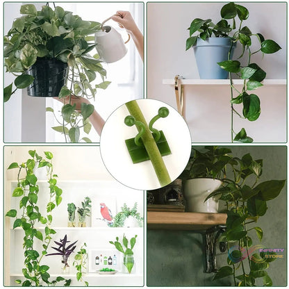 Plant Climbing Wall Clips Self - Adhesive Money Plant Support Clips Vine Plant Climbing Fixing Clip (10 Pcs Set) - infinityexculsivestore.com