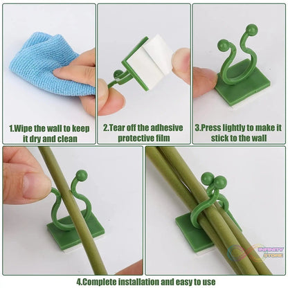 Plant Climbing Wall Clips Self - Adhesive Money Plant Support Clips Vine Plant Climbing Fixing Clip (10 Pcs Set) - infinityexculsivestore.com