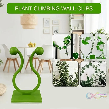 Plant Climbing Wall Fixture Clip Self - Adhesive Hook (100 Pcs Set) - infinityexculsivestore.com