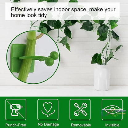 Plant Climbing Wall Fixture Clip Self - Adhesive Hook (100 Pcs Set) - infinityexculsivestore.com