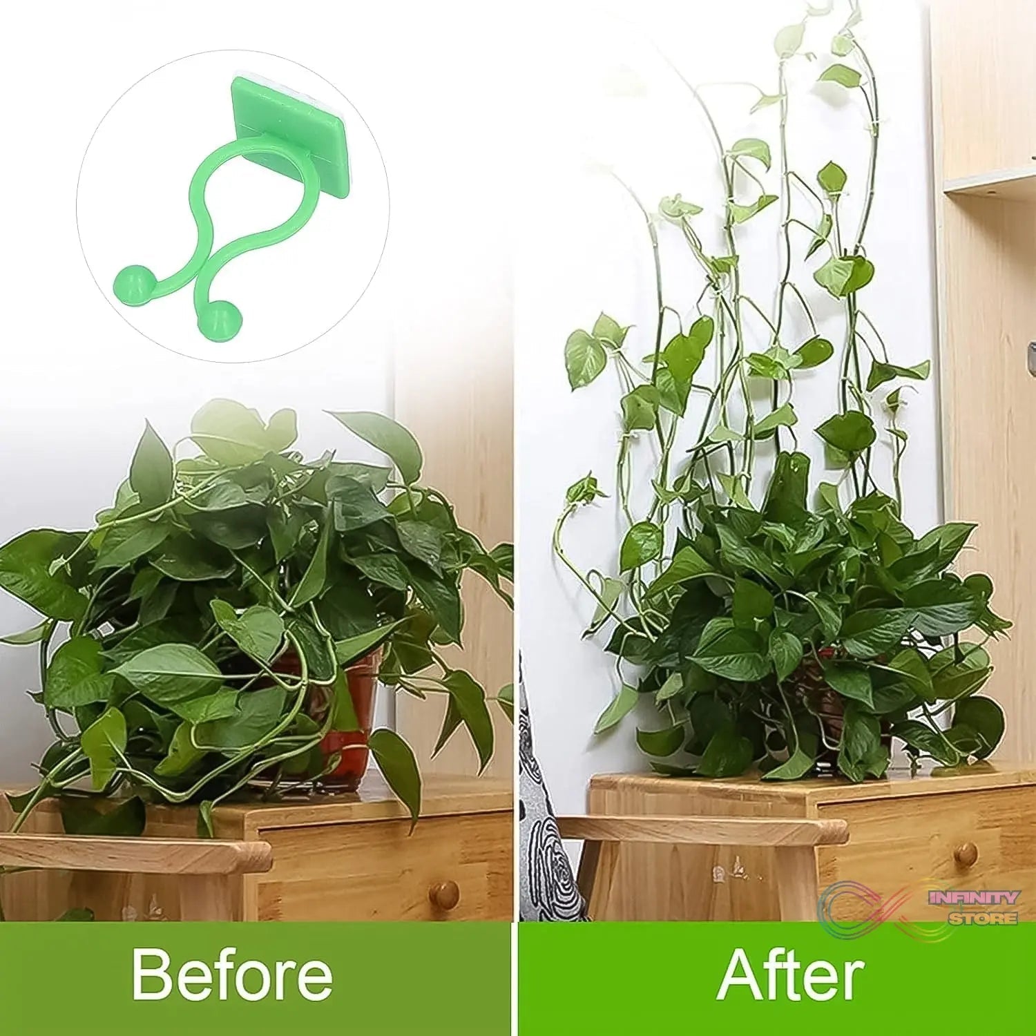 Plant Climbing Wall Fixture Clip Self - Adhesive Hook (100 Pcs Set) - infinityexculsivestore.com