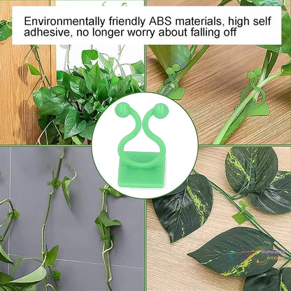 Plant Climbing Wall Fixture Clip Self - Adhesive Hook (100 Pcs Set) - infinityexculsivestore.com
