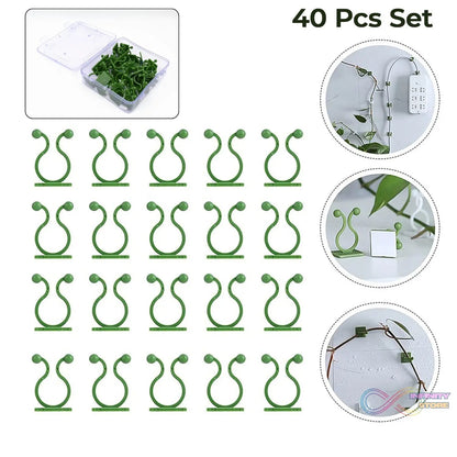 Plant Climbing Wall Fixture Clip Self - Adhesive Hook (40 Pcs Set / With plastic box) - infinityexculsivestore.com