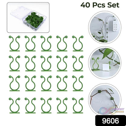 Plant Climbing Wall Fixture Clip Self - Adhesive Hook (40 Pcs Set / With plastic box) - infinityexculsivestore.com