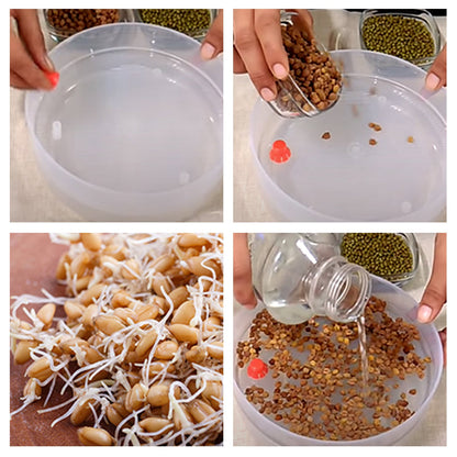 Plastic 4 Compartment Sprout Maker, White - infinityexculsivestore.com