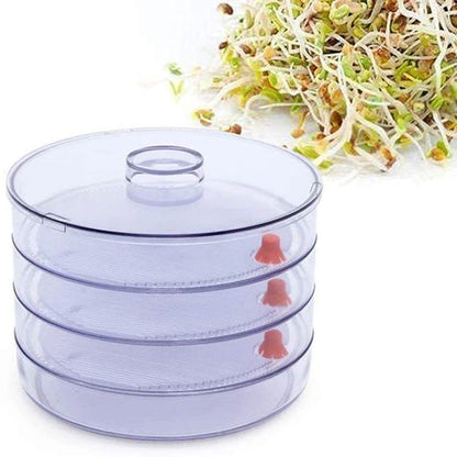 Plastic 4 Compartment Sprout Maker, White - infinityexculsivestore.com