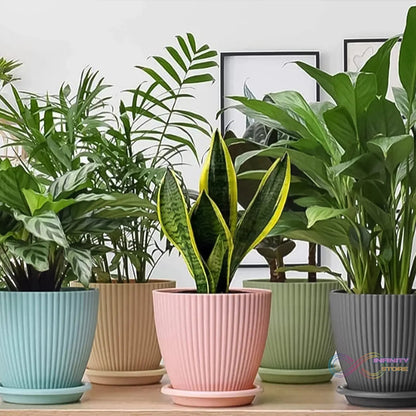 Plastic Flower Pot with Bottom Tray (5 Pcs Set) - infinityexculsivestore.com