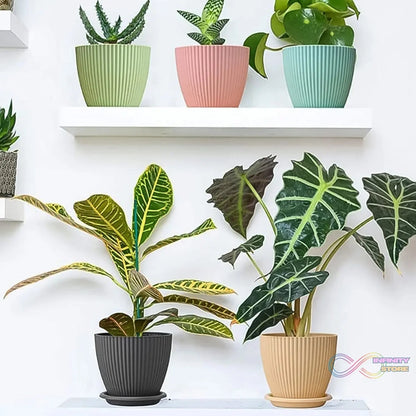 Plastic Flower Pot with Bottom Tray (5 Pcs Set) - infinityexculsivestore.com