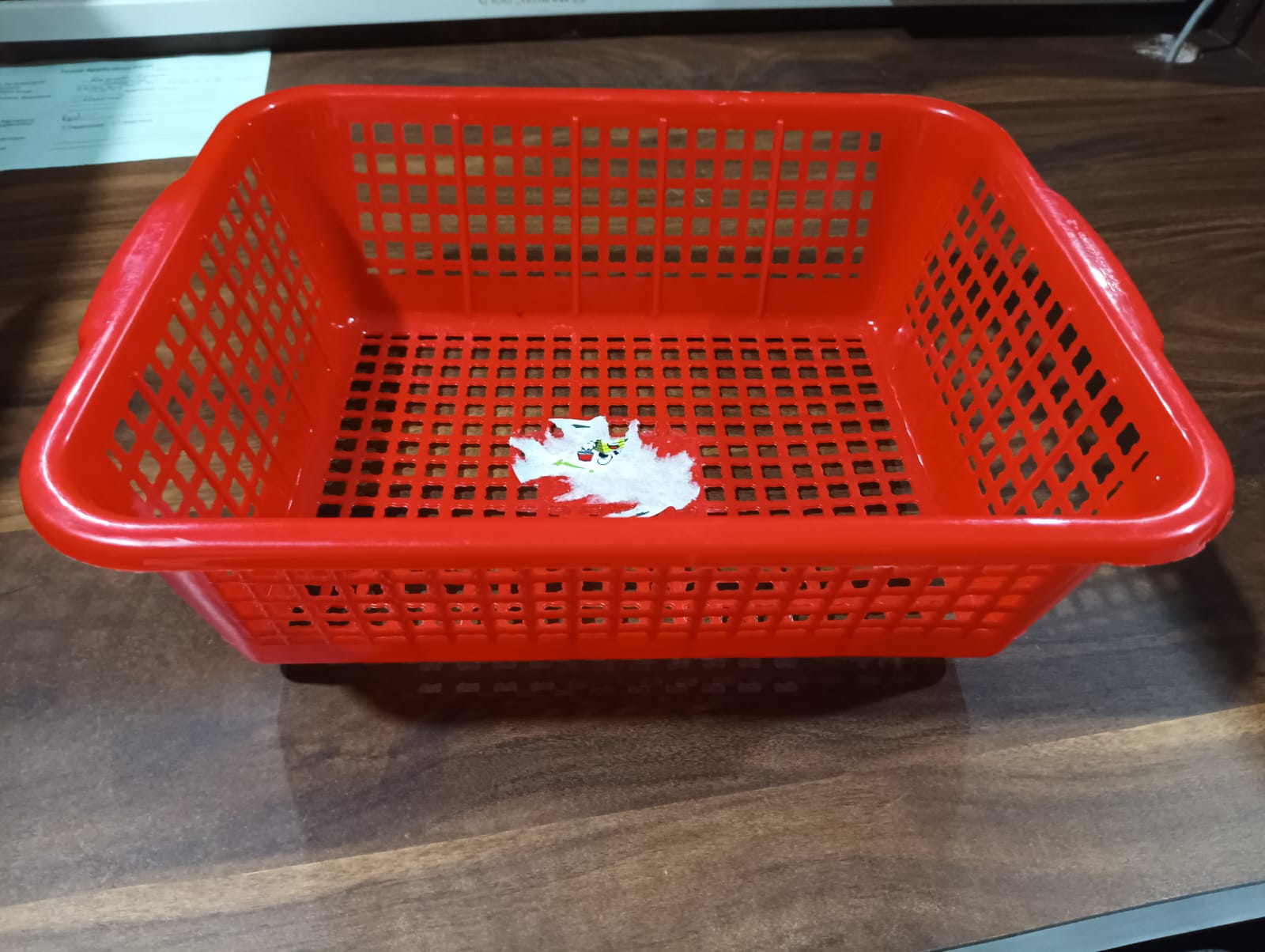Plastic Kitchen Medium Size Vegetables and Fruits Washing Basket Dish Rack Multipurpose Organizers - infinityexculsivestore.com
