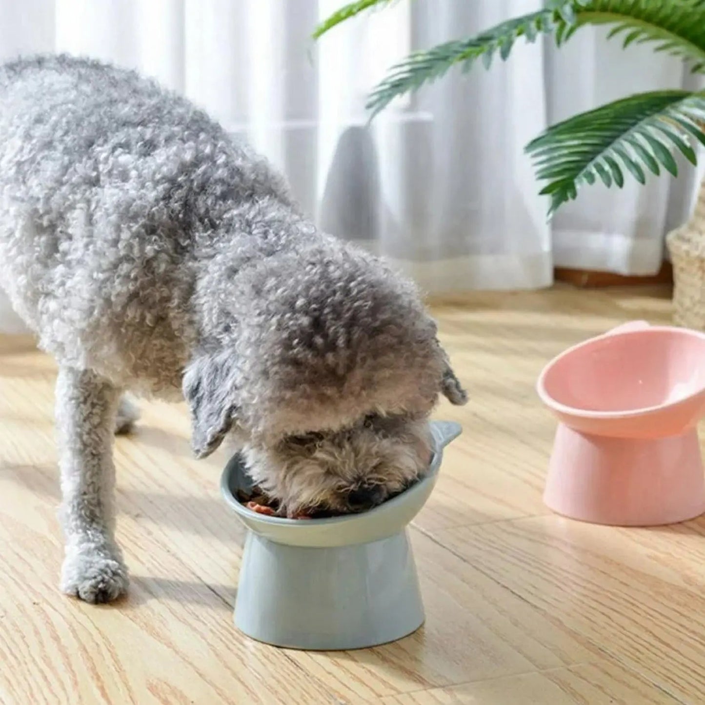 Plastic Multipurpose Bowl, Food Bowls (1 Pc) - infinityexculsivestore.com
