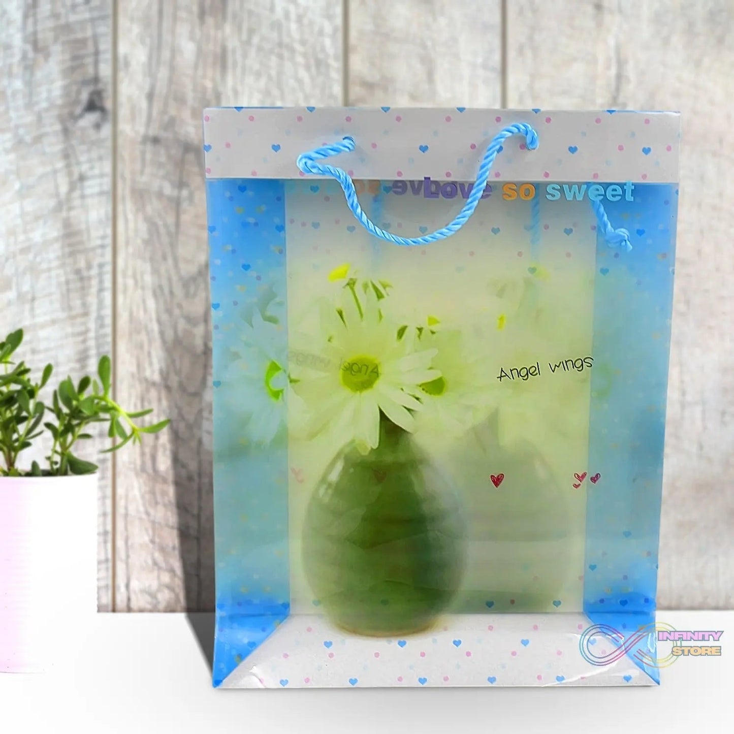 Plastic Transparent Bag With Handle (1 Pc / 34 x 26 Cm) - infinityexculsivestore.com