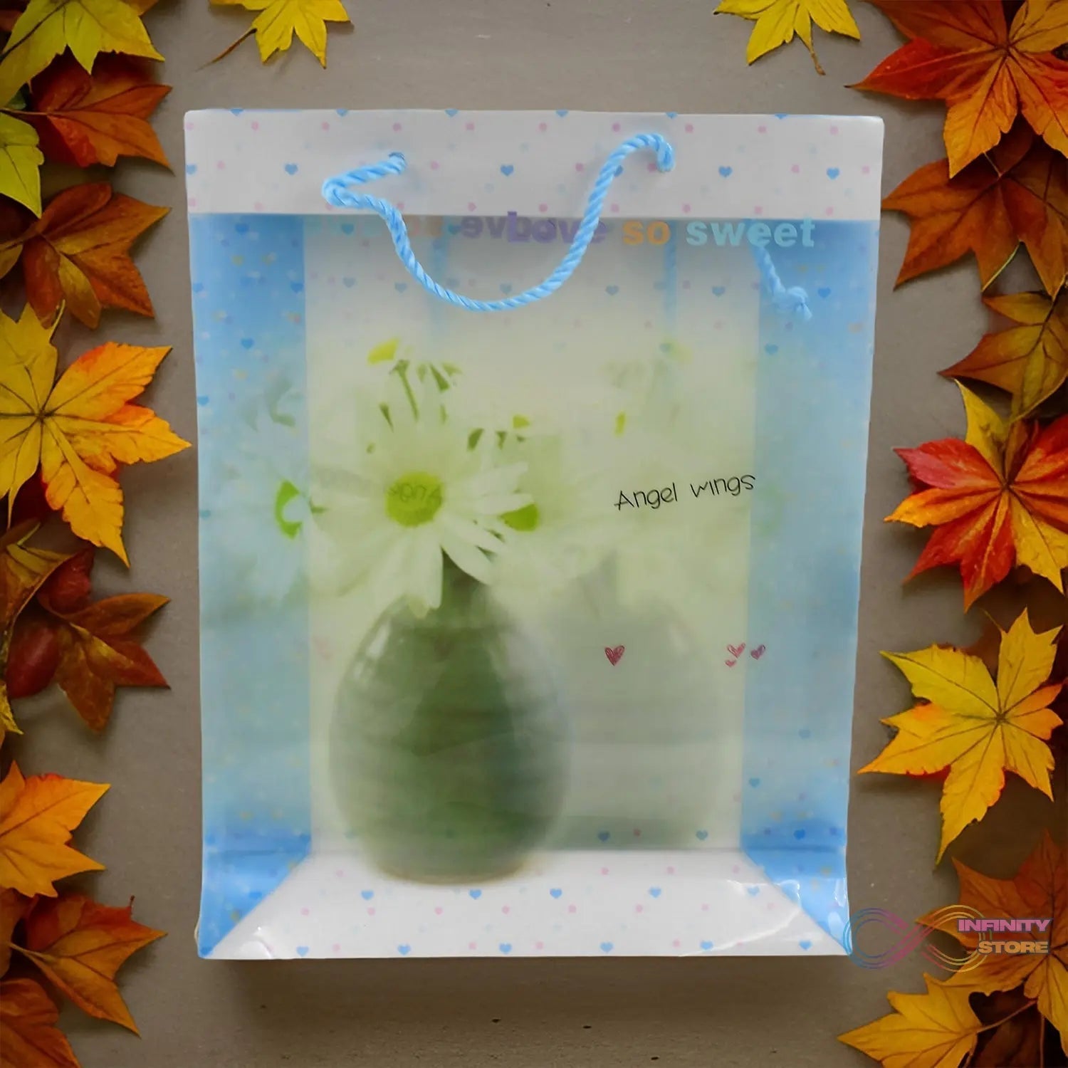 Plastic Transparent Bag With Handle (1 Pc / 34 x 26 Cm) - infinityexculsivestore.com