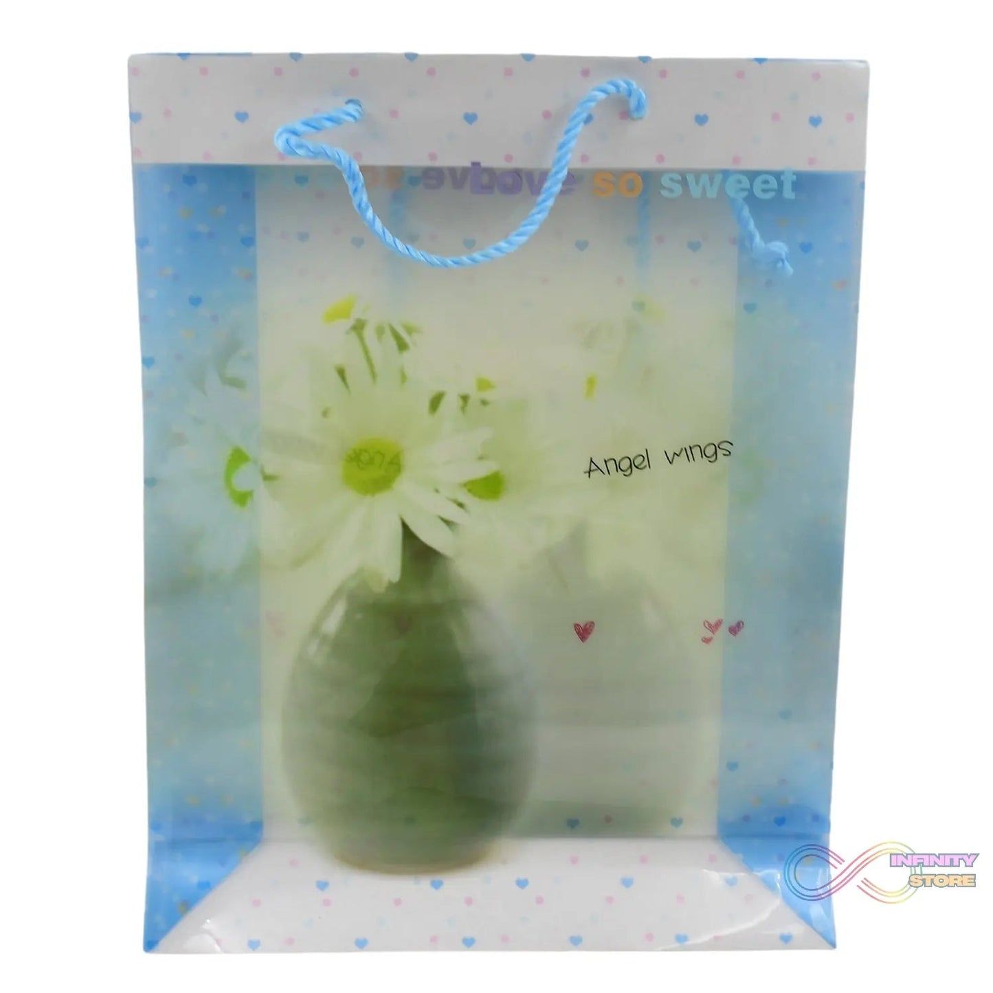Plastic Transparent Bag With Handle (1 Pc / 34 x 26 Cm) - infinityexculsivestore.com