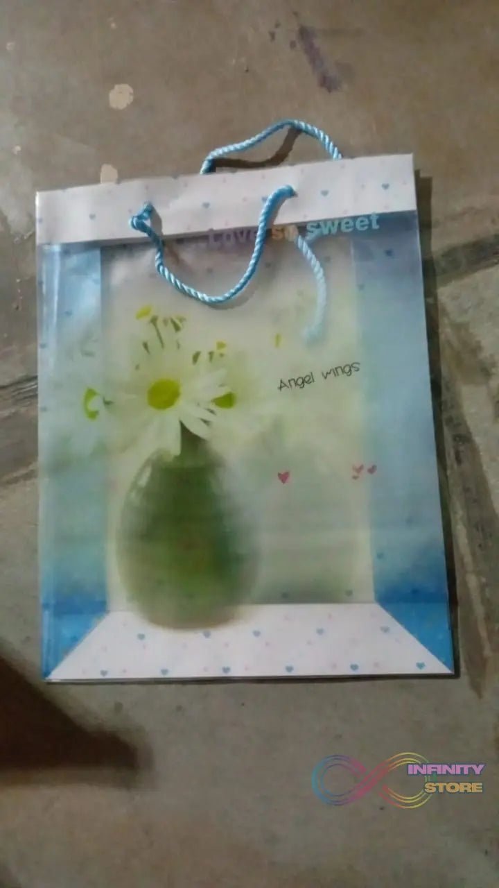 Plastic Transparent Bag With Handle (1 Pc / 34 x 26 Cm) - infinityexculsivestore.com