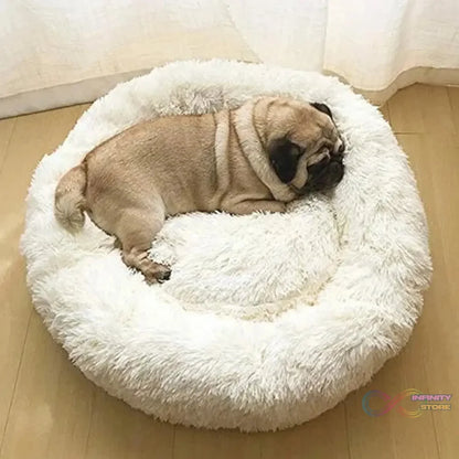 Plush Luxurious Deluxe Soft Dog Bed Washable Sofa Round Cushion (Large / 1 Pc) - infinityexculsivestore.com