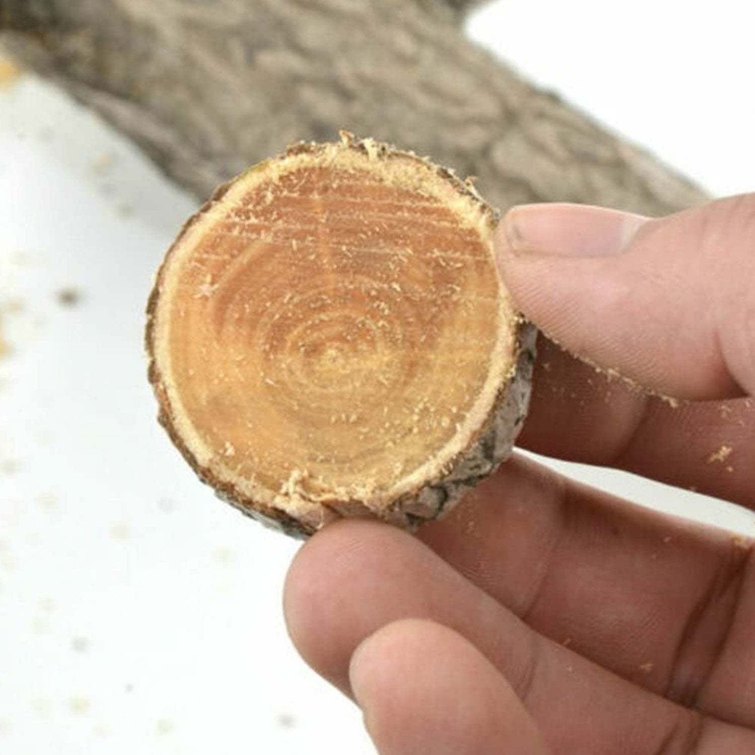 Portable Hand Saw High Strength Saw Small hand saw (34 Cm Long / 1 Pc) - infinityexculsivestore.com