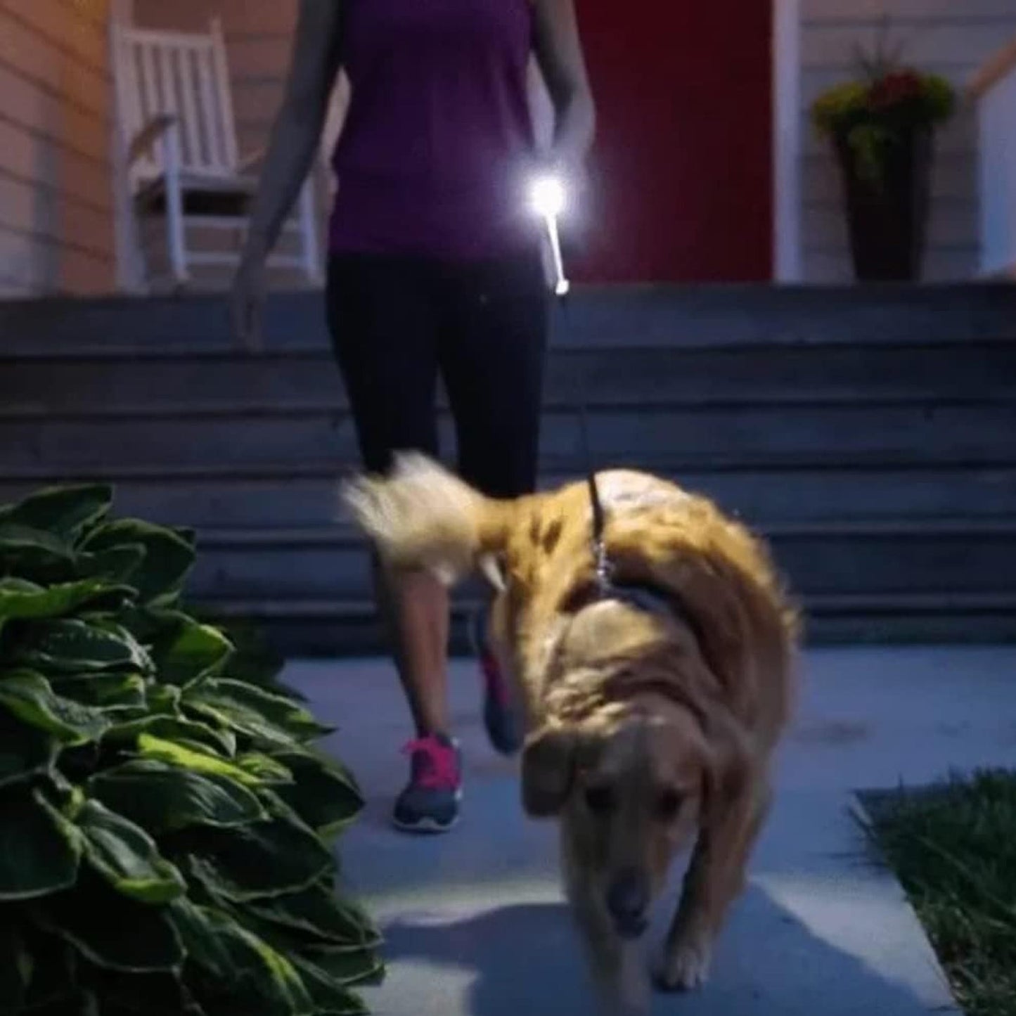 Portable Mini Torch / Flashlight LED Powerful High Lumens Pen Light Easy To Carry, Portable Pocket Compact Torch for Emergency 3 Battery operated (Battery not included / 1 pc) - infinityexculsivestore.com