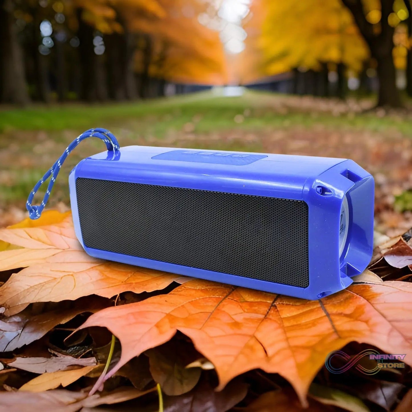 Portable Wireless Rechargeable Speaker Bluetooth Speaker (1 Pc) - infinityexculsivestore.com