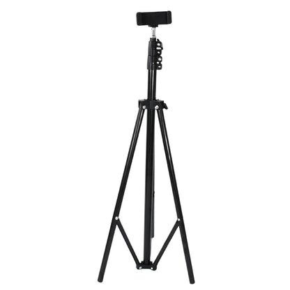 Professional Tripod with Multipurpose Head for Low Level Shooting, Panning for All DSLR Camera Photography Tripod Stand Folding Photo Stand Maximum Height 170 Cm - infinityexculsivestore.com