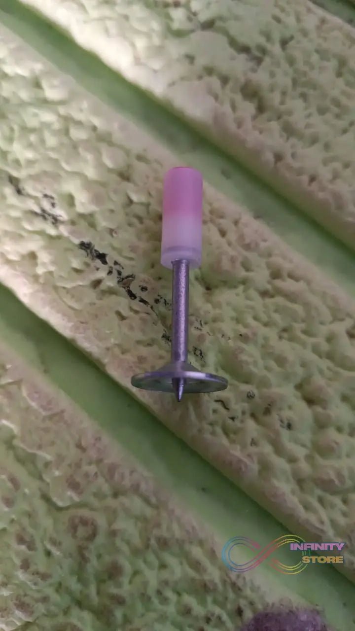 Round Nails for Mini Steel Nails For Gun (100 Pcs Set) - infinityexculsivestore.com