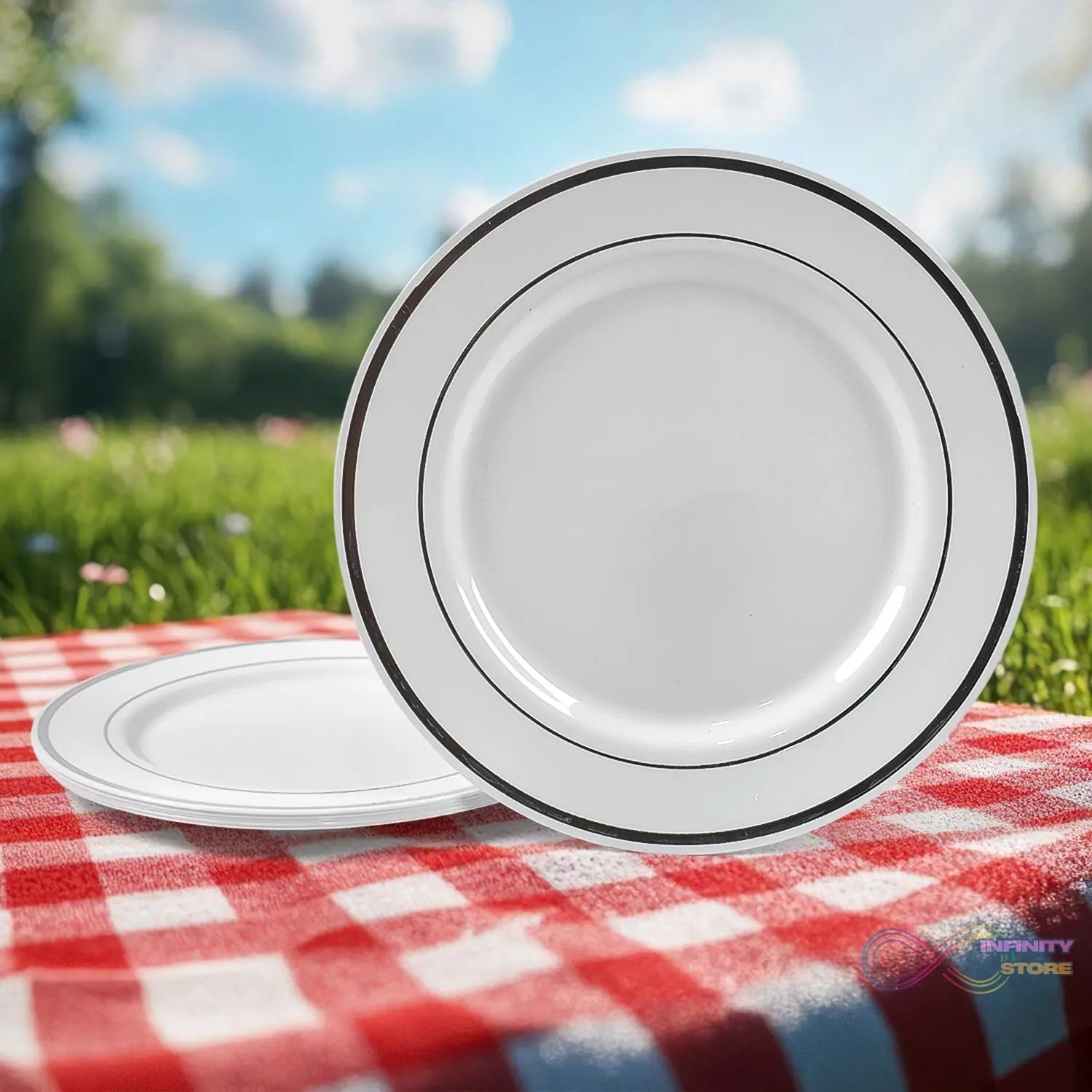 Round Plastic Dinner Plates Wedding Birthday Party Tableware Supplies (6 Pcs Set) - infinityexculsivestore.com