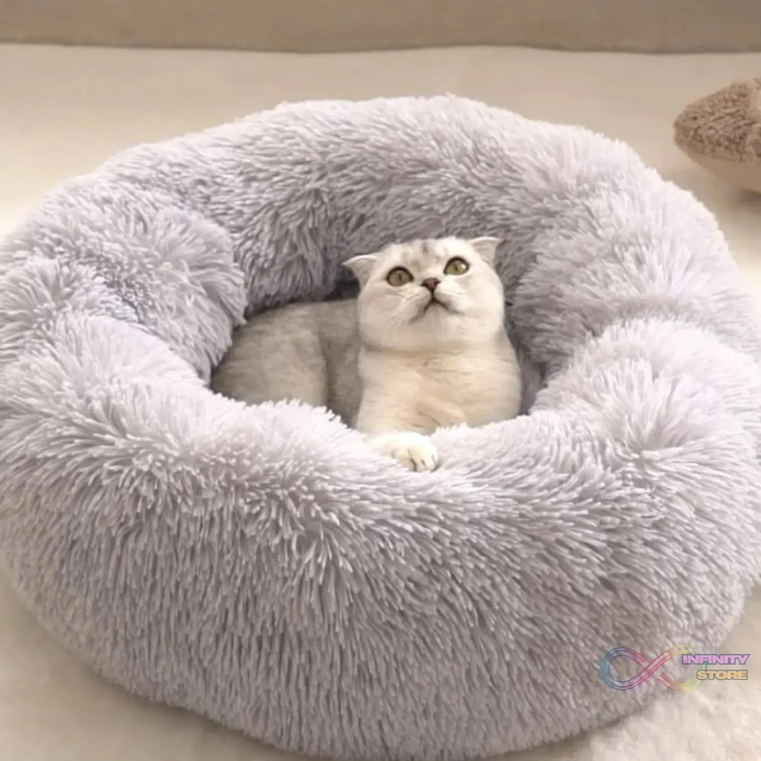 Small Round Dog Beds for Small Dogs and Cats (1 Pc) - infinityexculsivestore.com