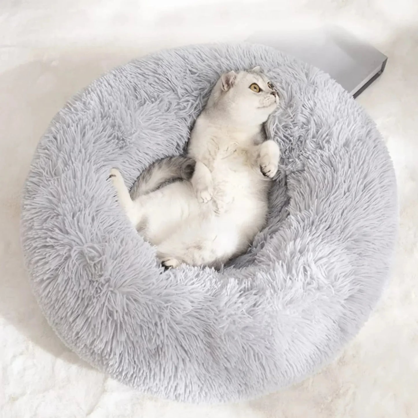 Small Round Dog Beds for Small Dogs and Cats (1 Pc) - infinityexculsivestore.com