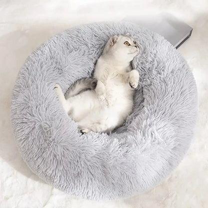 Small Round Dog Beds for Small Dogs and Cats (1 Pc) - infinityexculsivestore.com