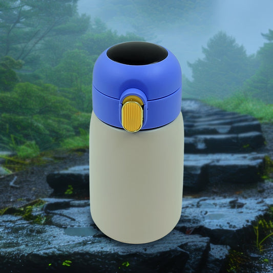 Smart Vacuum Insulated Water Bottle with LED Temperature Display (300 ML Approx) - infinityexculsivestore.com