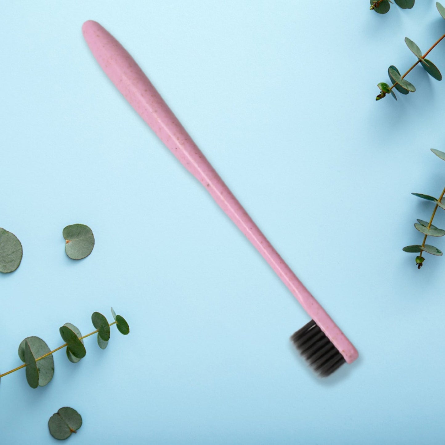 Soft Toothbrush With Toothbrush Cover Cleaner Scraper for Men and Women, Kids, Adults Plastic Toothbrush Cover / Case / Holder (1 Pc / Mix Color) - infinityexculsivestore.com