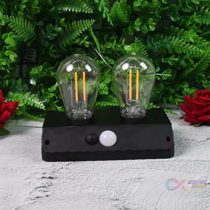 Solar Double LED Bulb Lamp YT - 819 - 2W (1 Pc) - infinityexculsivestore.com