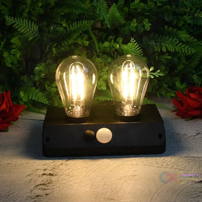 Solar Double LED Bulb Lamp YT - 819 - 2W (1 Pc) - infinityexculsivestore.com