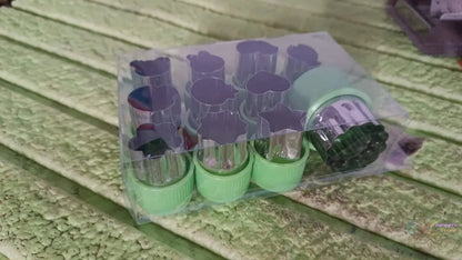 Stainless Steel Cookie Cutter Shapes Set, Baking Cooking Food Decoration (12 Pcs Set) - infinityexculsivestore.com