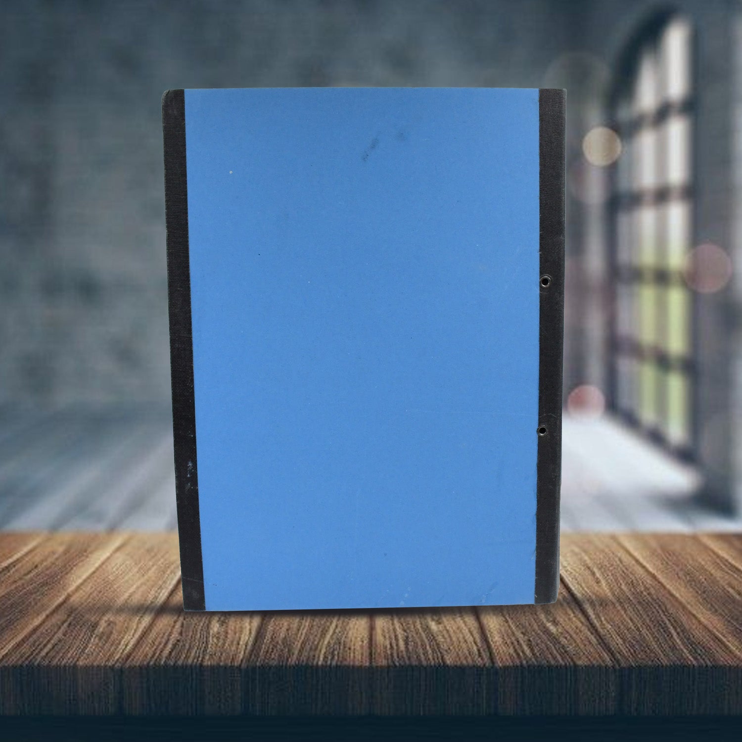 Standard file plastic clip, File Folder Paper Holder Documents File (35×26 Cm / 1 Pc / MOQ : - 4 Pc) - infinityexculsivestore.com