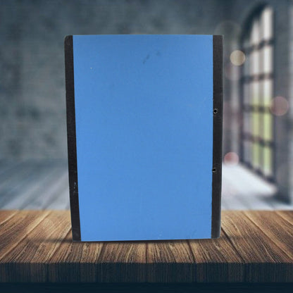 Standard file plastic clip, File Folder Paper Holder Documents File (35×26 Cm / 1 Pc / MOQ : - 4 Pc) - infinityexculsivestore.com