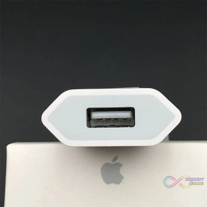 USB wall charger adaptor for iPhone and Android devices, highlighting its compact design