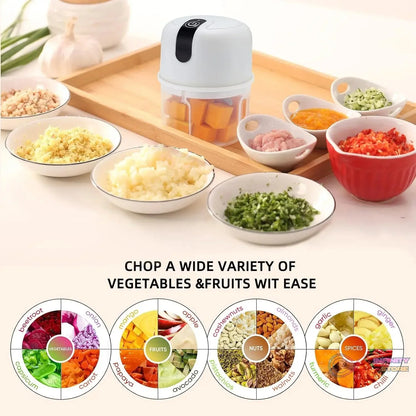 Wireless USB Rechargeable Mini Electric Garlic Machine / Chopper 3 Blades (250Ml) - infinityexculsivestore.com