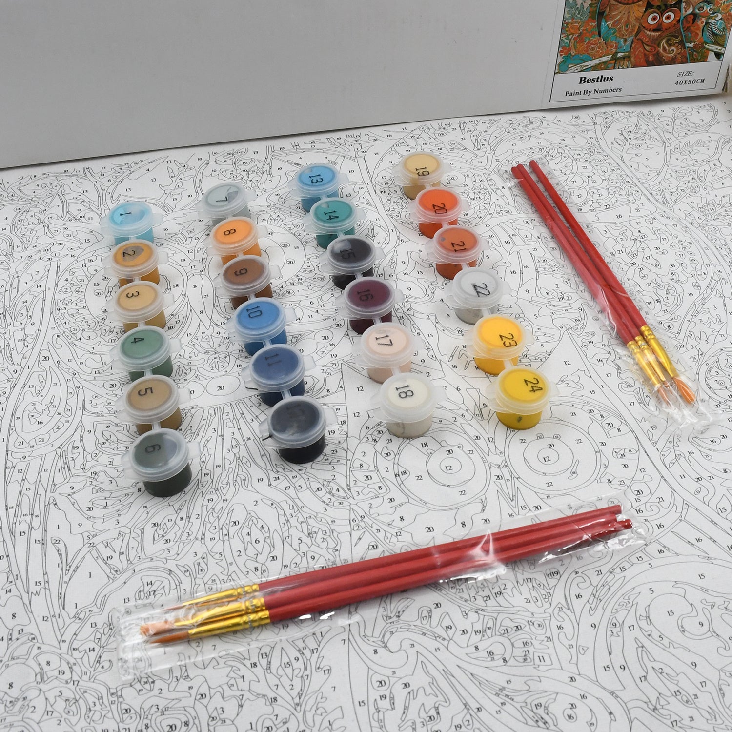 Paint by Numbers for Adults Beginner - Adults' Paint - by - Number Kits on Canvas - DIY Oil Painting by Numbers for Adults - 24 Number Color, 6 paintbrushes, pre - printed canvas (unframed) 40 cm x 50 cm - infinityexculsivestore.com