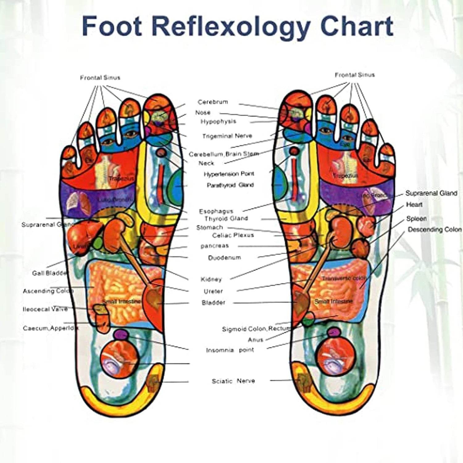 kinoki Cleansing Detox Foot Pads, Ginger & salt Foot Patch -10pcs (Free Size, White) - infinityexculsivestore.com