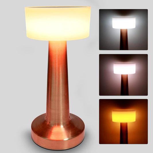 LED Lamp with Touch Control | Decorative Desk Lamp, Portable Metal LED Table Lamp, USB Rechargeable, 3 Color, 3 Levels Brightness, Dimmable Eye Protection Modern Lamp for Home Decor Party Kids Room Bedroom (1 Pc) - infinityexculsivestore.com